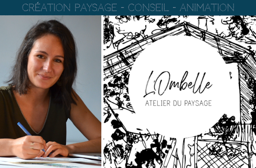 L'ombelle l'atelier du paysage