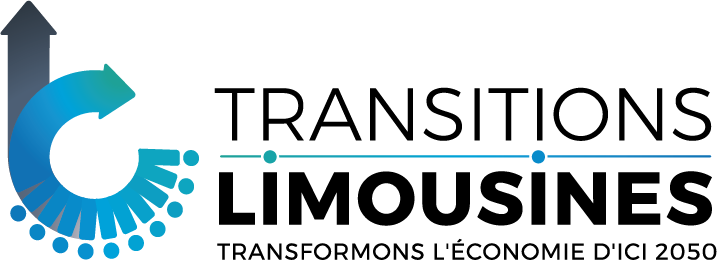 Transitions Limousines